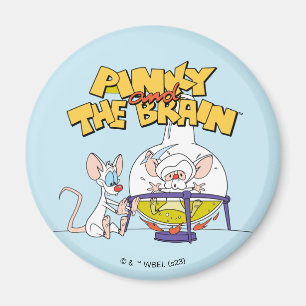 Pinky and the Brain   Laboratory Science Magnet