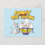 Pinky and the Brain | Laboratory Science Postcard<br><div class="desc">Check out this fun Pinky and the Brain graphic with Pinky warming himself by the burner and flask Brain finds himself trapped inside!</div>