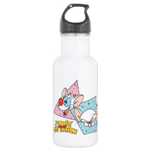 Pinky and the Brain   Retro Character Graphics 532 Ml Water Bottle