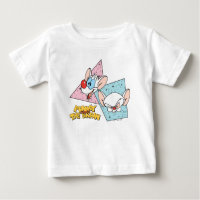 Pinky and the Brain | Retro Character Graphics