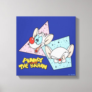 Pinky and the Brain   Retro Character Graphics Canvas Print