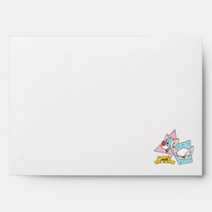 Pinky and the Brain   Retro Character Graphics Envelope