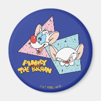 Pinky and the Brain | Retro Character Graphics