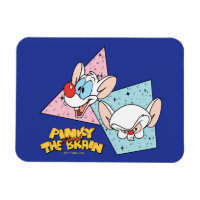 Pinky and the Brain | Retro Character Graphics
