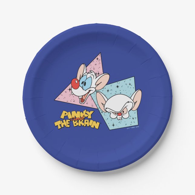 Pinky and the Brain | Retro Character Graphics Paper Plate (Front)