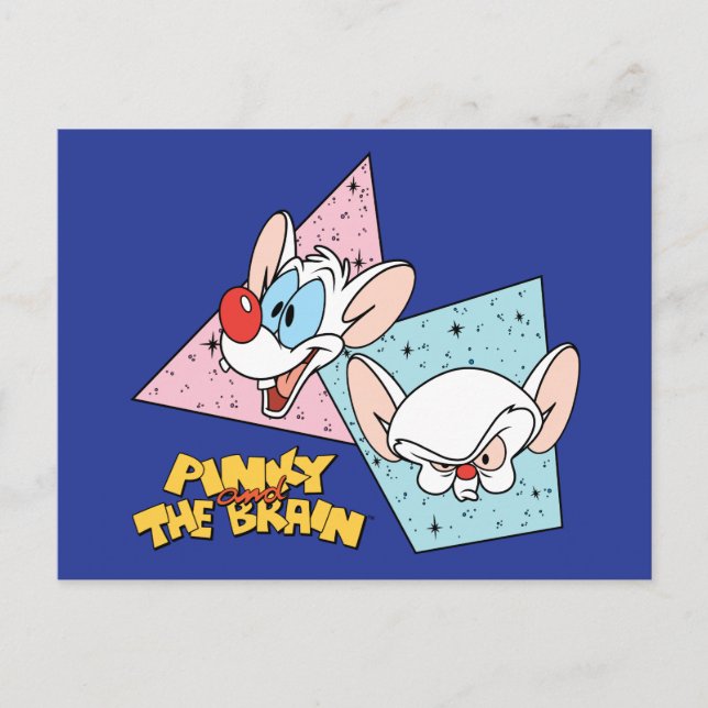 Pinky and the Brain | Retro Character Graphics Postcard (Front)
