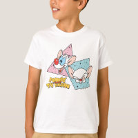 Pinky and the Brain | Retro Character Graphics