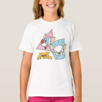 Pinky and the Brain | Retro Character Graphics