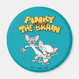 Pinky and the Brain   Show Logo Magnet