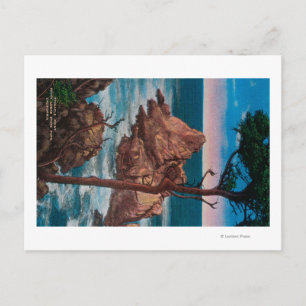 Pinnacle Point, Point Lobas State Park Postcard