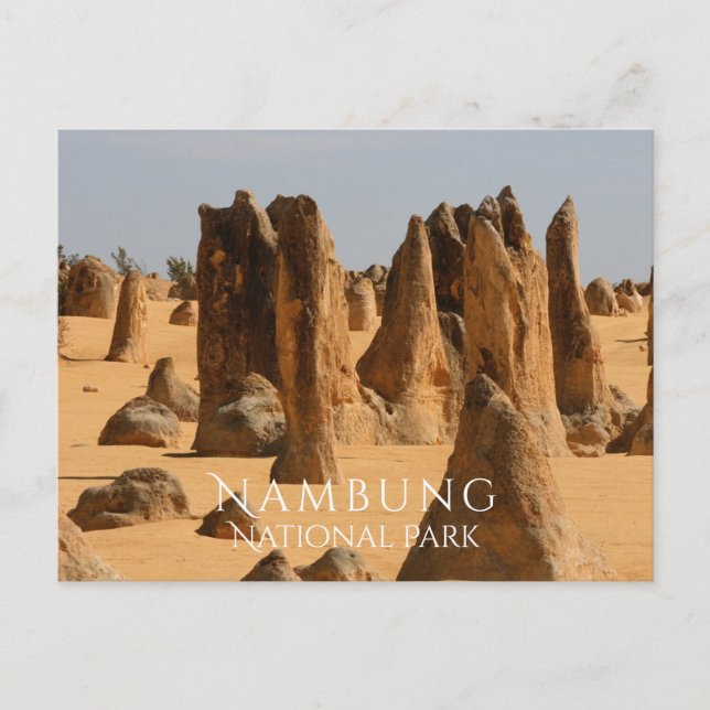 Pinnacles Desert Nambung NP, Western Australia Postcard (Front)