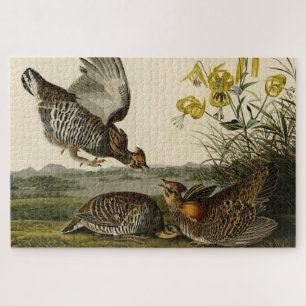 Pinnated Grouse (Grous) Audubon's Birds of America Jigsaw Puzzle