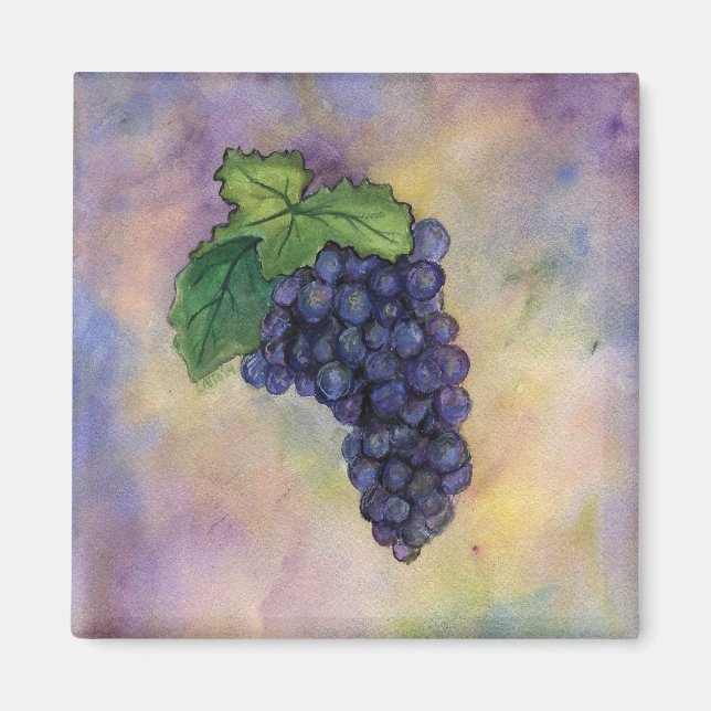 Pinot Noir Wine Grapes Magnet (Front)