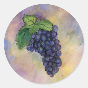 Pinot Noir Wine Grapes Sticker