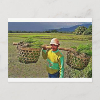 Pinoy1.jpg Postcard