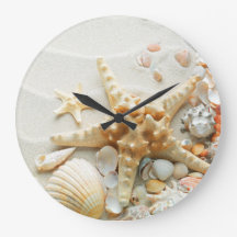 Pin's Beach shell