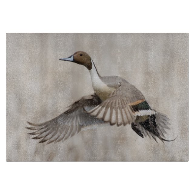 Pintail Drake Taking Flight Cutting Board (Front)