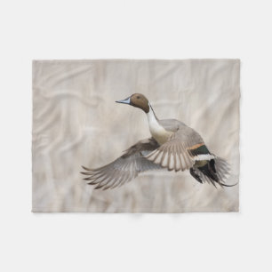 Pintail Drake Taking Flight Fleece Blanket