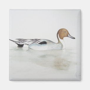 Pintail Duck 2011 Magnet