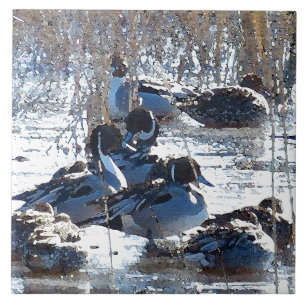 Pintail Duck Birds Wildlife Animals Tile