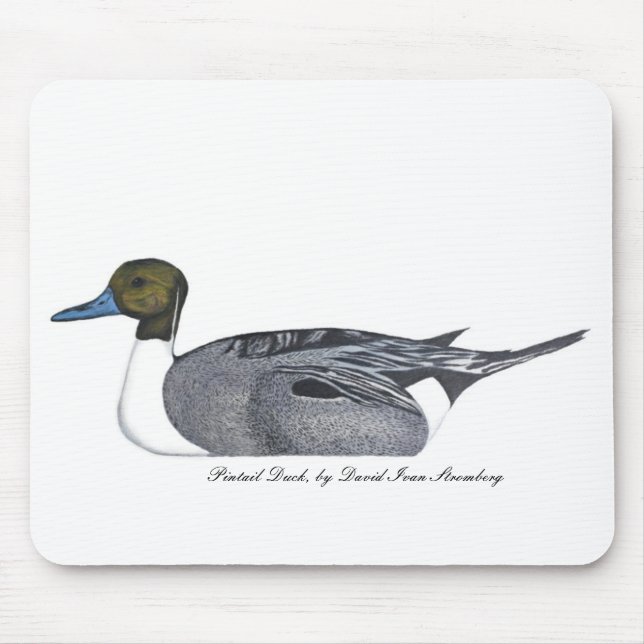 Pintail Duck by David Ivan Stromberg Mouse Mat (Front)