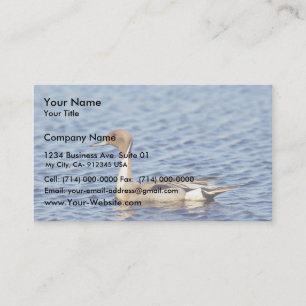 Pintail Duck Drake Business Card