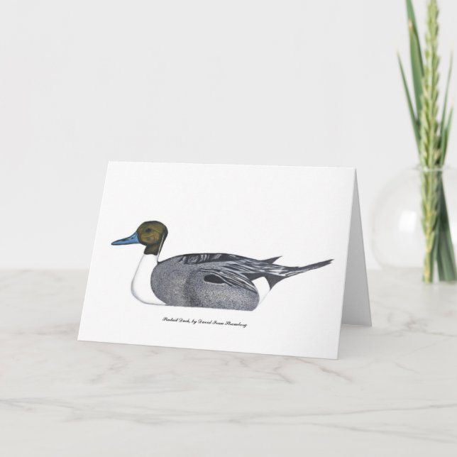Pintail Duck Greeting Card, by David Ivan Strombeg Card (Front)
