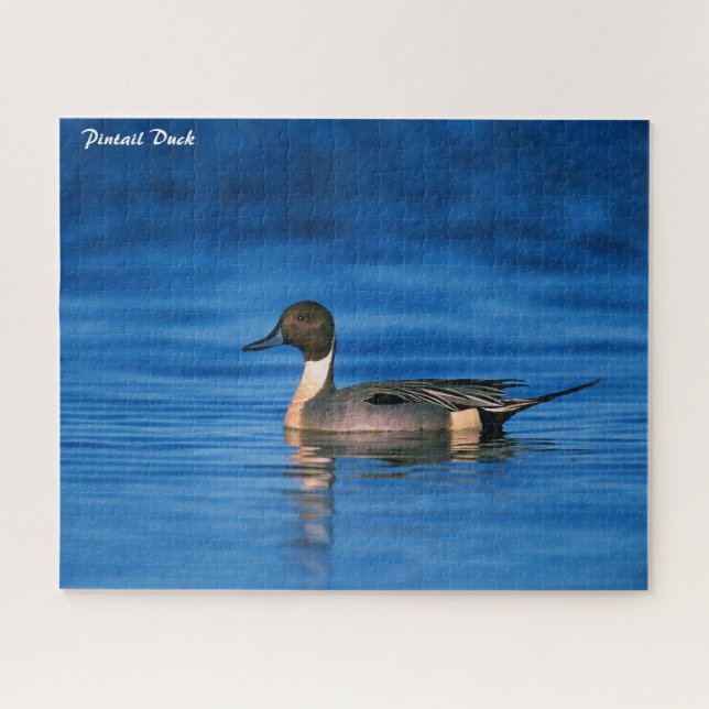 Pintail Duck Jigsaw Puzzle (Horizontal)