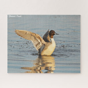 Pintail Duck Jigsaw Puzzle
