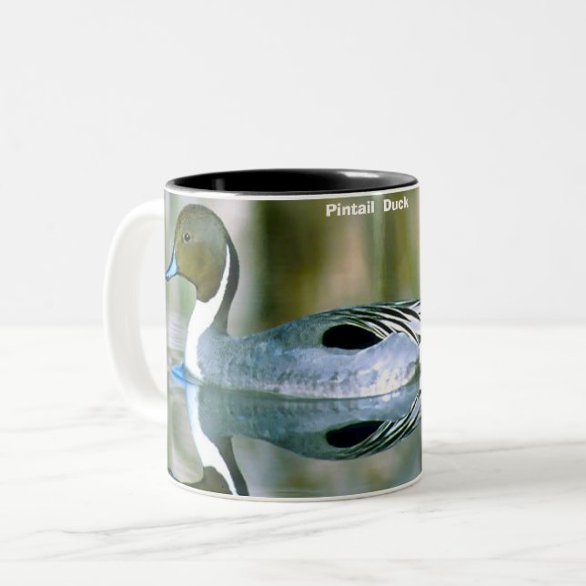 Pintail Duck Two-Tone Coffee Mug (Front Left)