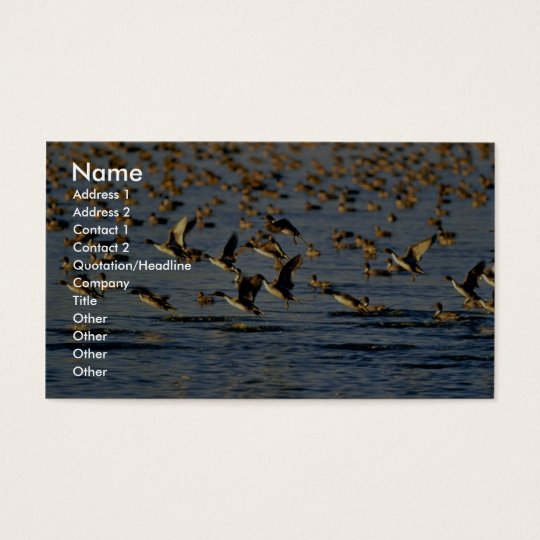 Pintails Business Card