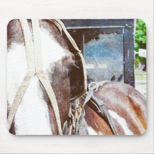 Pinto Amish Buggy Horse Mouse Mat