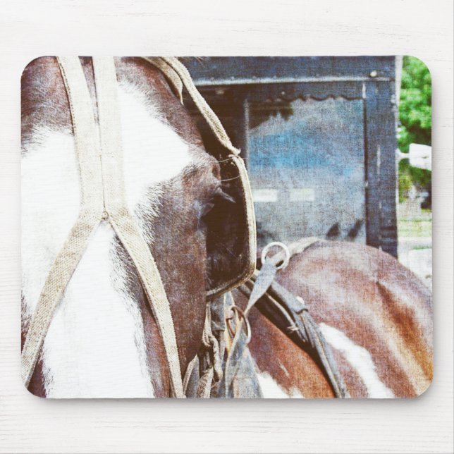 Pinto Amish Buggy Horse Mouse Mat (Front)