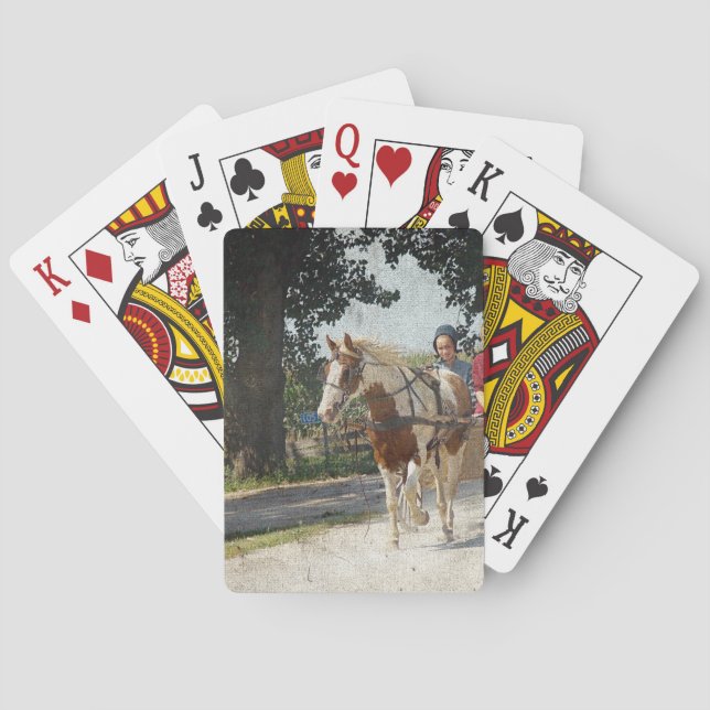 Pinto and children in buggy playing cards (Back)