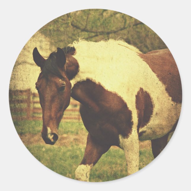 Pinto Classic Round Sticker (Front)