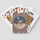 Pinto colt in the moonlight