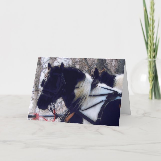 Pinto Draught Horses, Father's Day Card (Front)