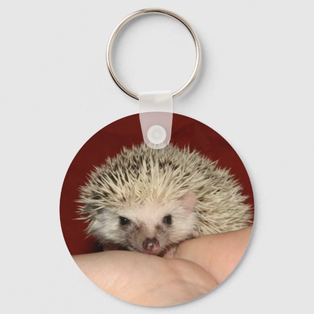 Pinto face hedgehog key ring (Front)
