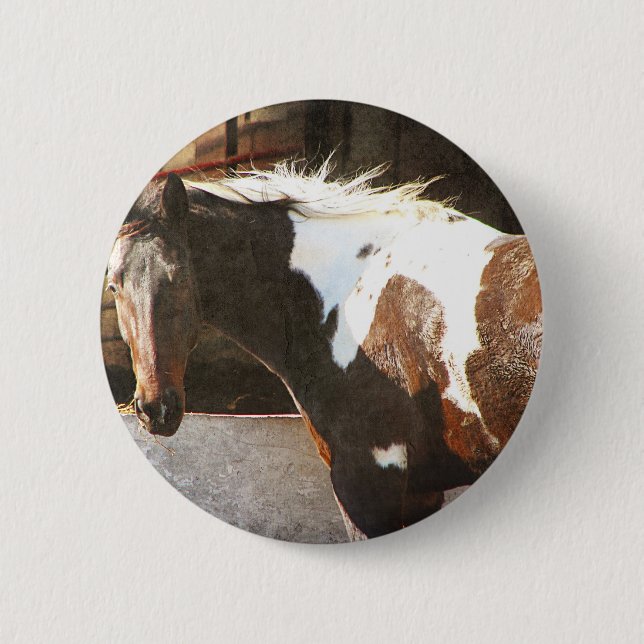 Pinto Horse 6 Cm Round Badge (Front)