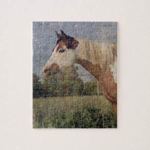 Pinto Horse Grunge Jigsaw Puzzle