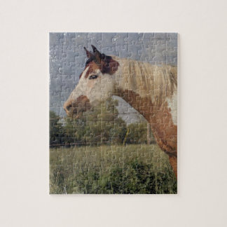 Pinto Horse Grunge Jigsaw Puzzle