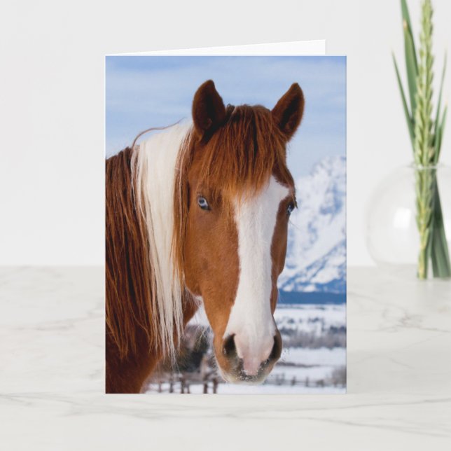 Pinto Horse Mount Moran in Winter Card (Front)