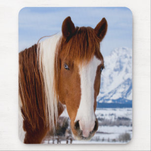 Pinto Horse Mount Moran in Winter Mouse Mat