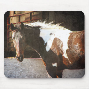 Pinto Horse Mouse Mat