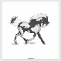 PInto Horse Paint Pony Piebald Overo Equestrian