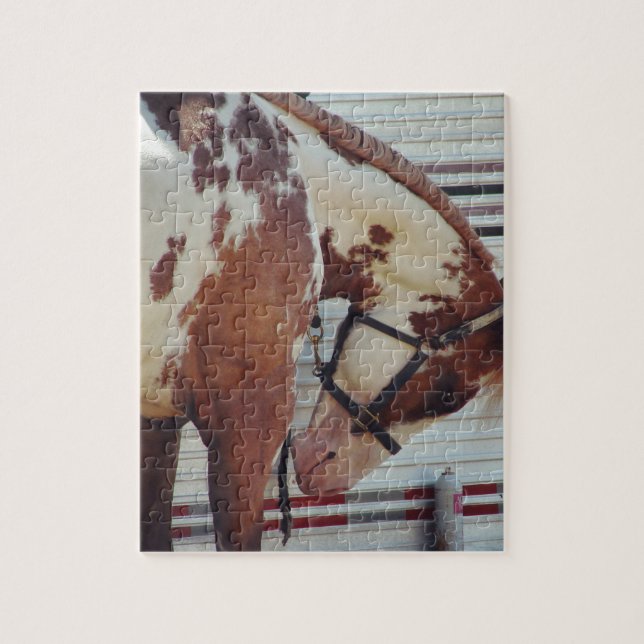 Pinto Jigsaw Puzzle (Vertical)