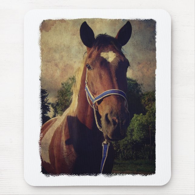 Pinto Mouse Mat (Front)