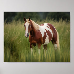 Pinto Mustang Horse in Tall Grass Poster