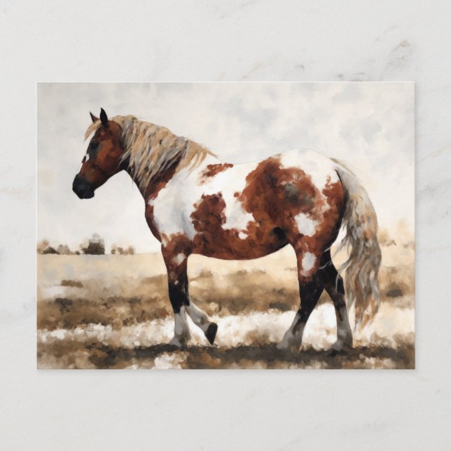 Pinto Mustang Horse Painting Postcard (Front)