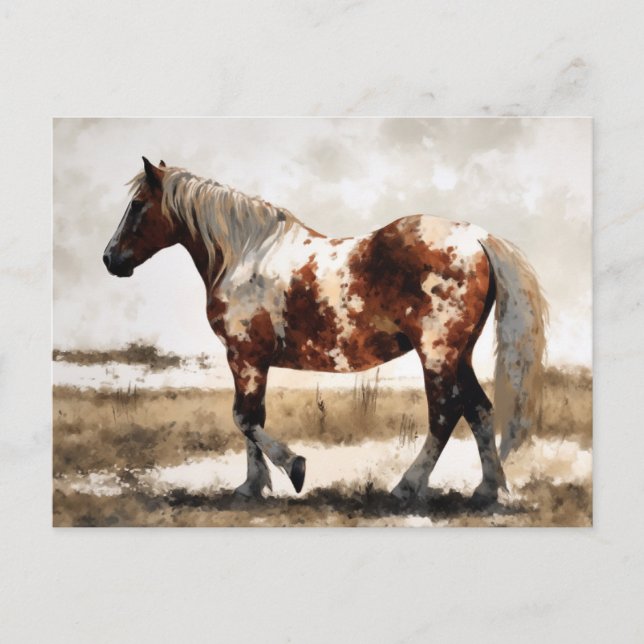 Pinto Mustang Horse Painting Postcard (Front)